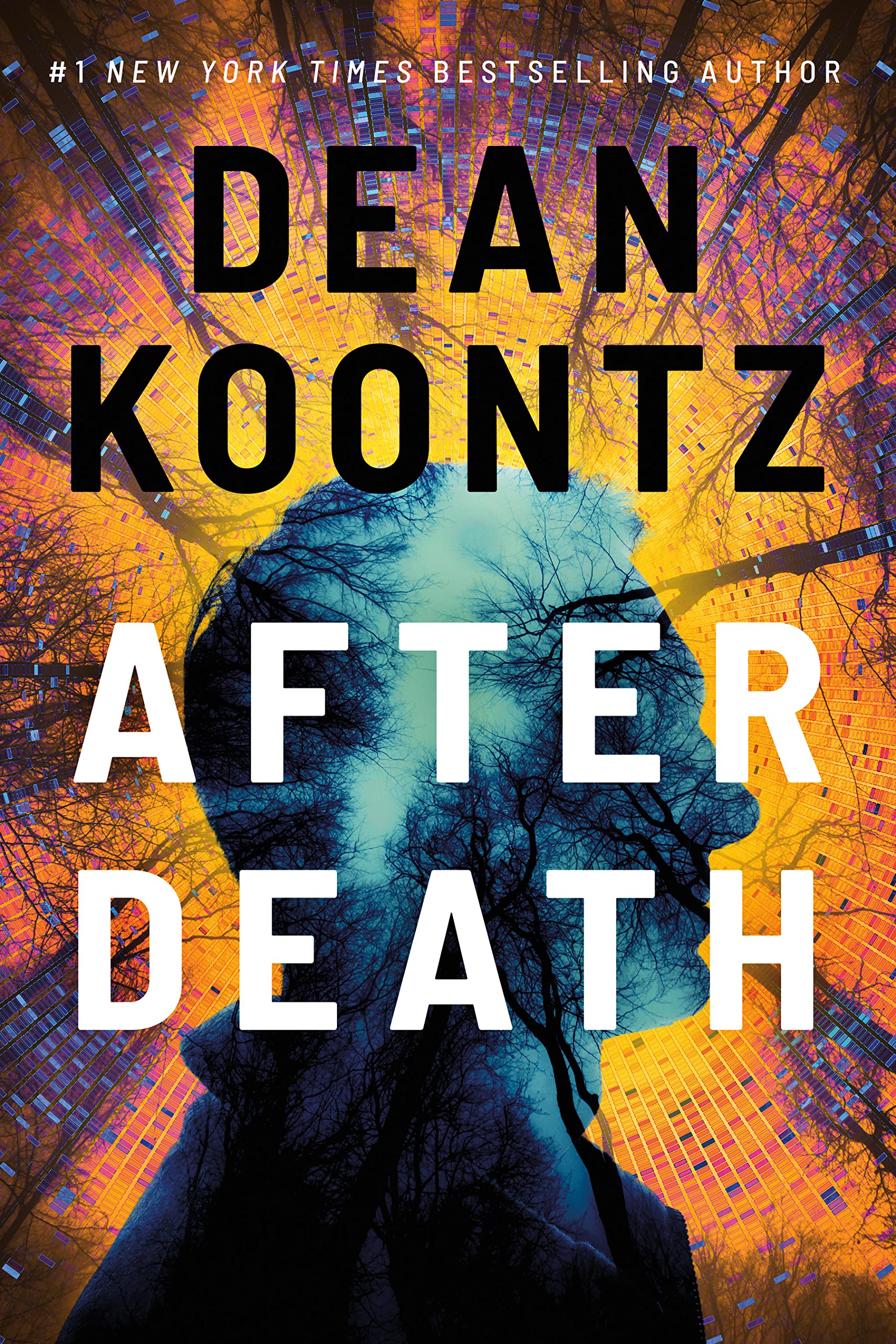 After Death by Dean Koontz