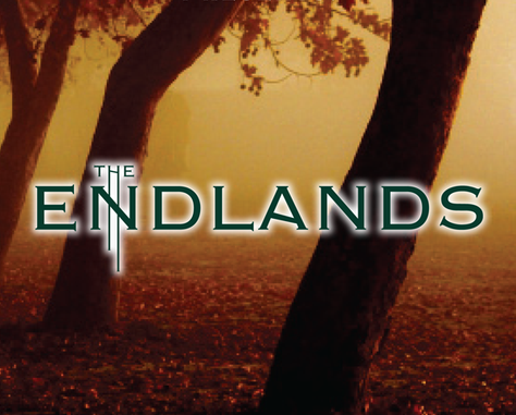 book review the endlands vol i by vincent hobbes